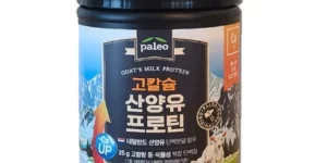 2024년 최고의 D_팔레오 고단백 산양유 단백질 프로틴 plus류신 280g 6통 TOP 제품