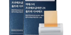 2024년 최고의 여에스더 프로테오글리칸 2X 울트라 다이렉트 20박스40주분 BEST 제품